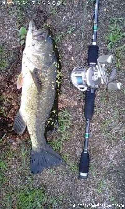 �֥�å��Х�