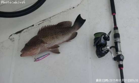 �������ϥ�