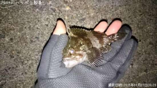 ��饽��