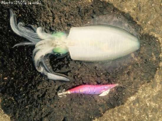 �����ꥤ��