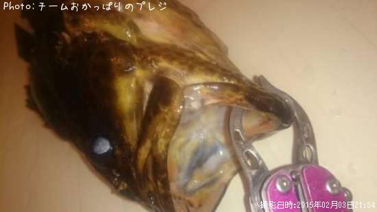 �����Υ���Х�