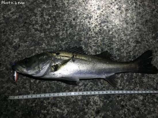 �����Х�