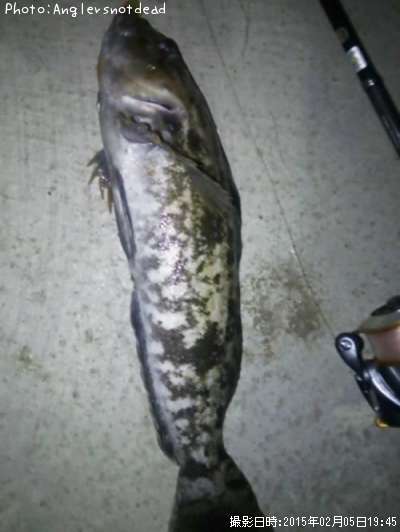 �����ʥ�