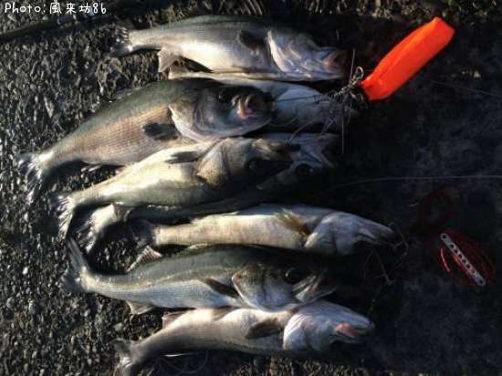 �����Х�