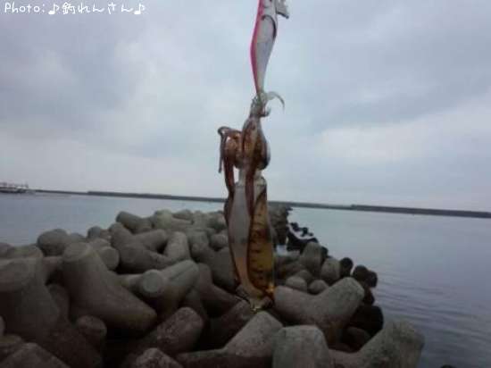 �屨±