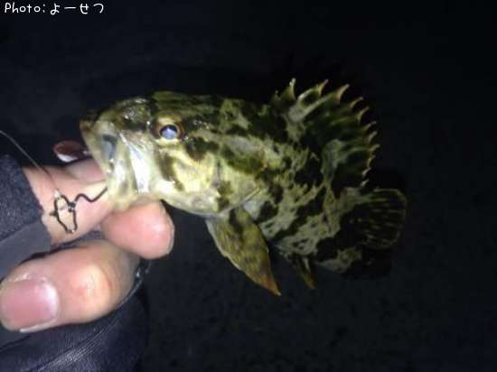 �����Υ���Х�