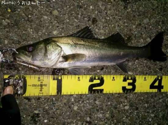 �����Х�