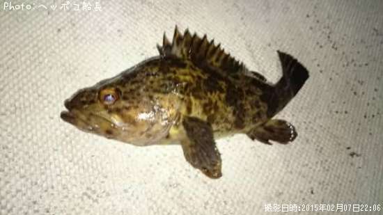 �����Υ���Х�