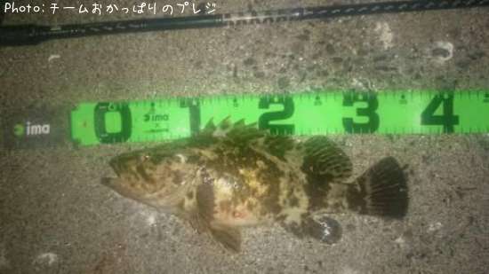 �����Υ���Х�