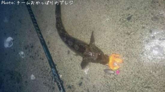 �����ʥ�