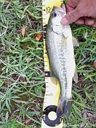 �֥�å��Х�