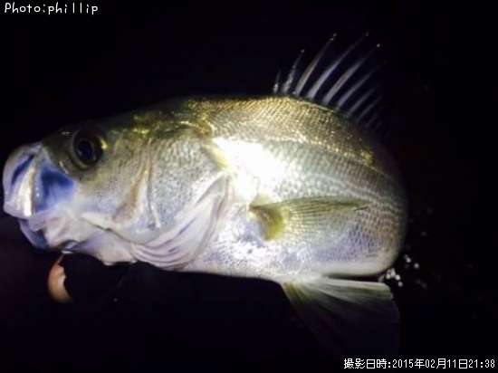 �����Х�