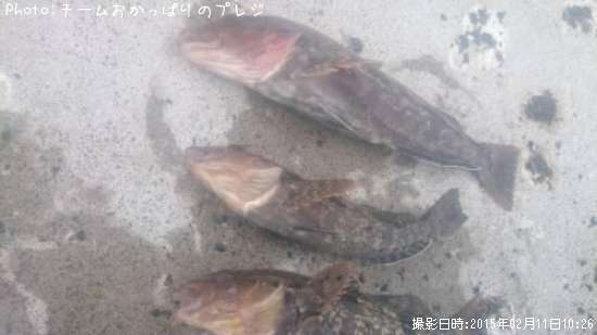 �����ʥ�