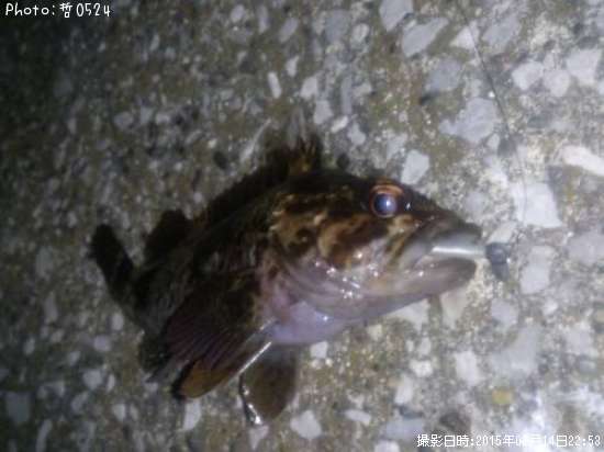 ��饽��