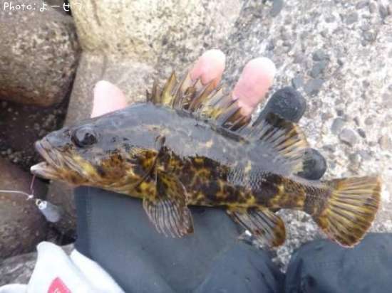 �����Υ���Х�