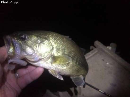 �֥�å��Х�