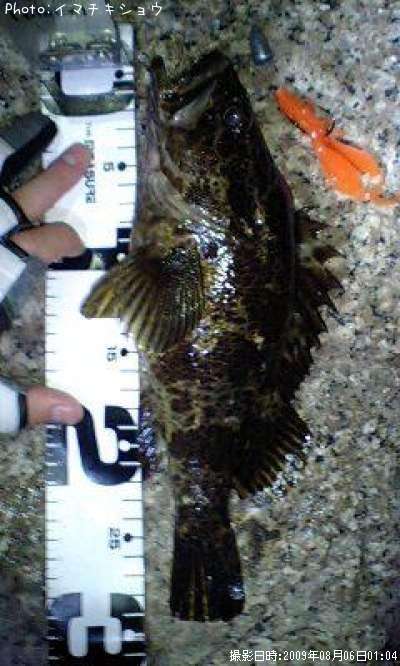 �����Υ���Х�