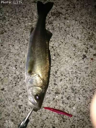 �����Х�