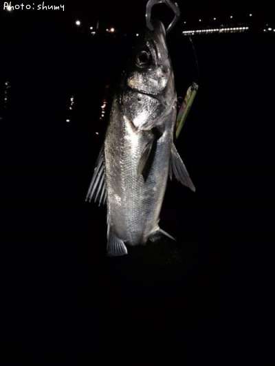 �����Х�