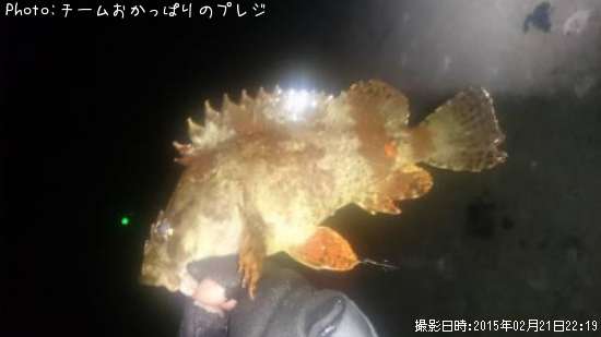 �������Х�