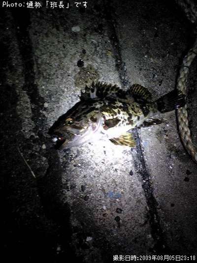 �����Υ�