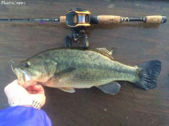 �֥�å��Х�