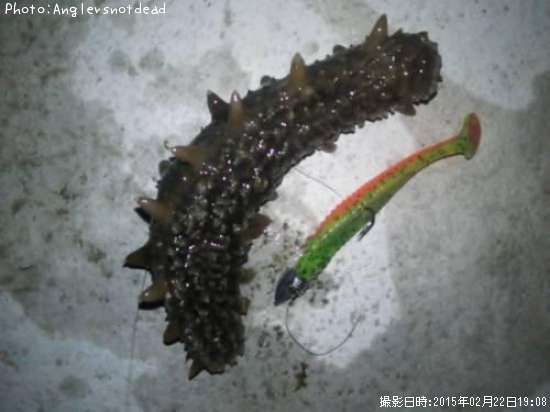 �Σ��ͣ��ˣϡ�����