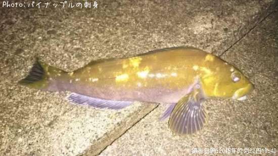 �����ʥ�