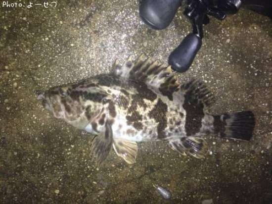 �����Υ���Х�