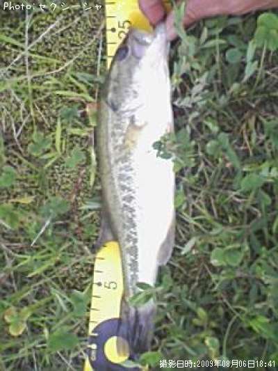 �֥�å��Х�