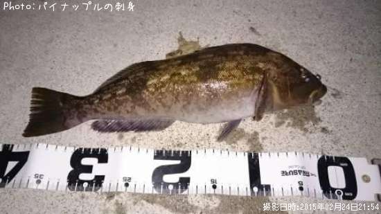 �����ʥ�