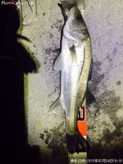 �����Х�