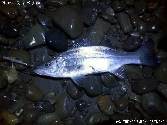 �ҥ饹����