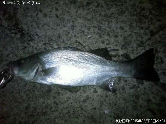 �ҥ饹����