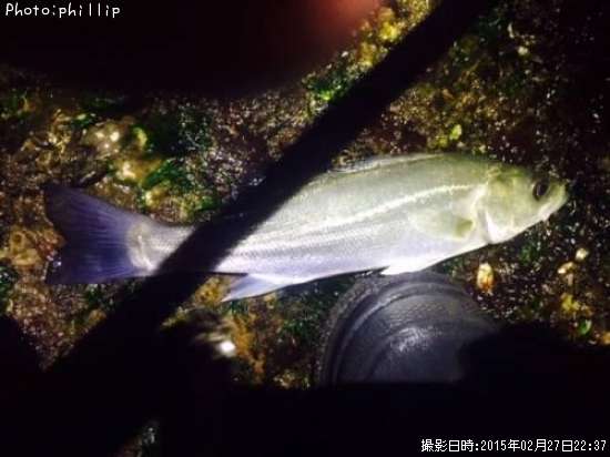 �����Х�