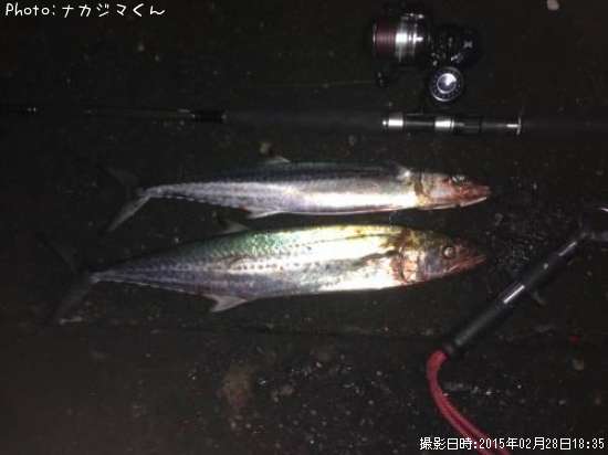 �������ߣ�