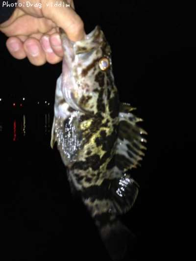 �����Υ���Х�