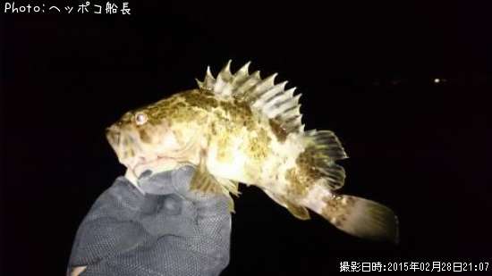 �����Υ���Х�