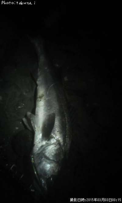 �����Х�