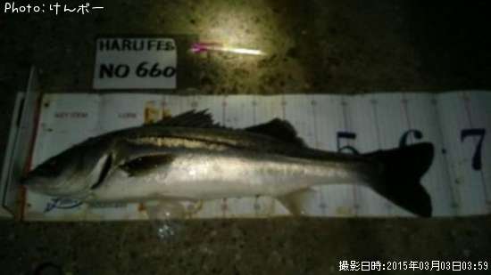 �����Х�