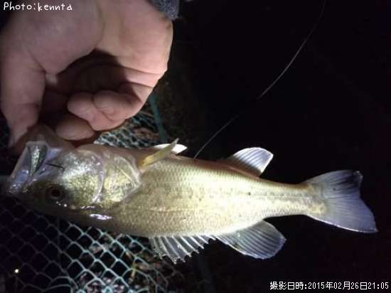 �֥�å��Х�