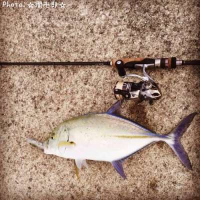 �����ߥ���