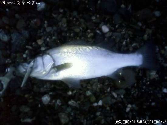 �ҥ饹����