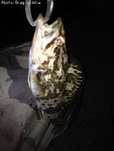 �����Υ���Х�