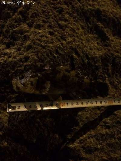 �����Υ���Х�