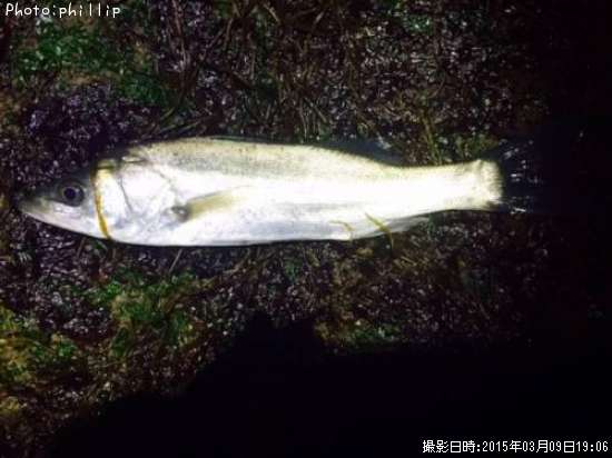 �����Х�