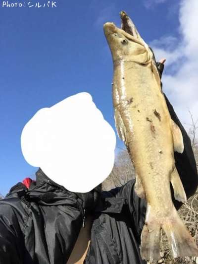 �ƣ��ʥ֥饦��ߥ���������ޡ�