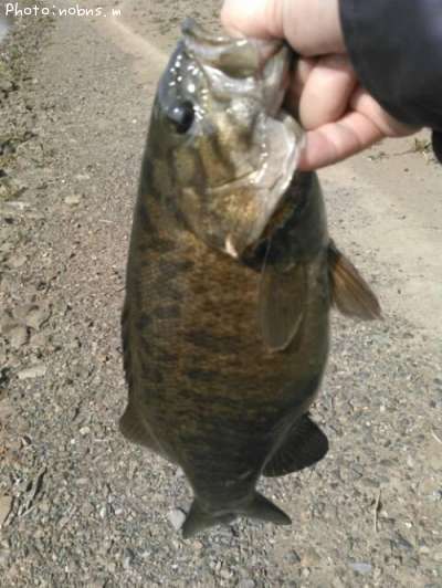 �֥�å��Х�