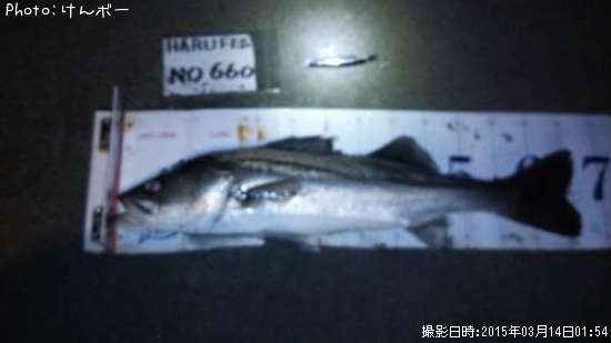 �����Х�