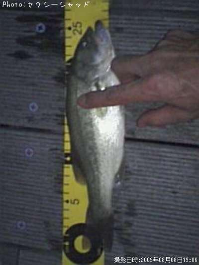 �֥�å��Х�